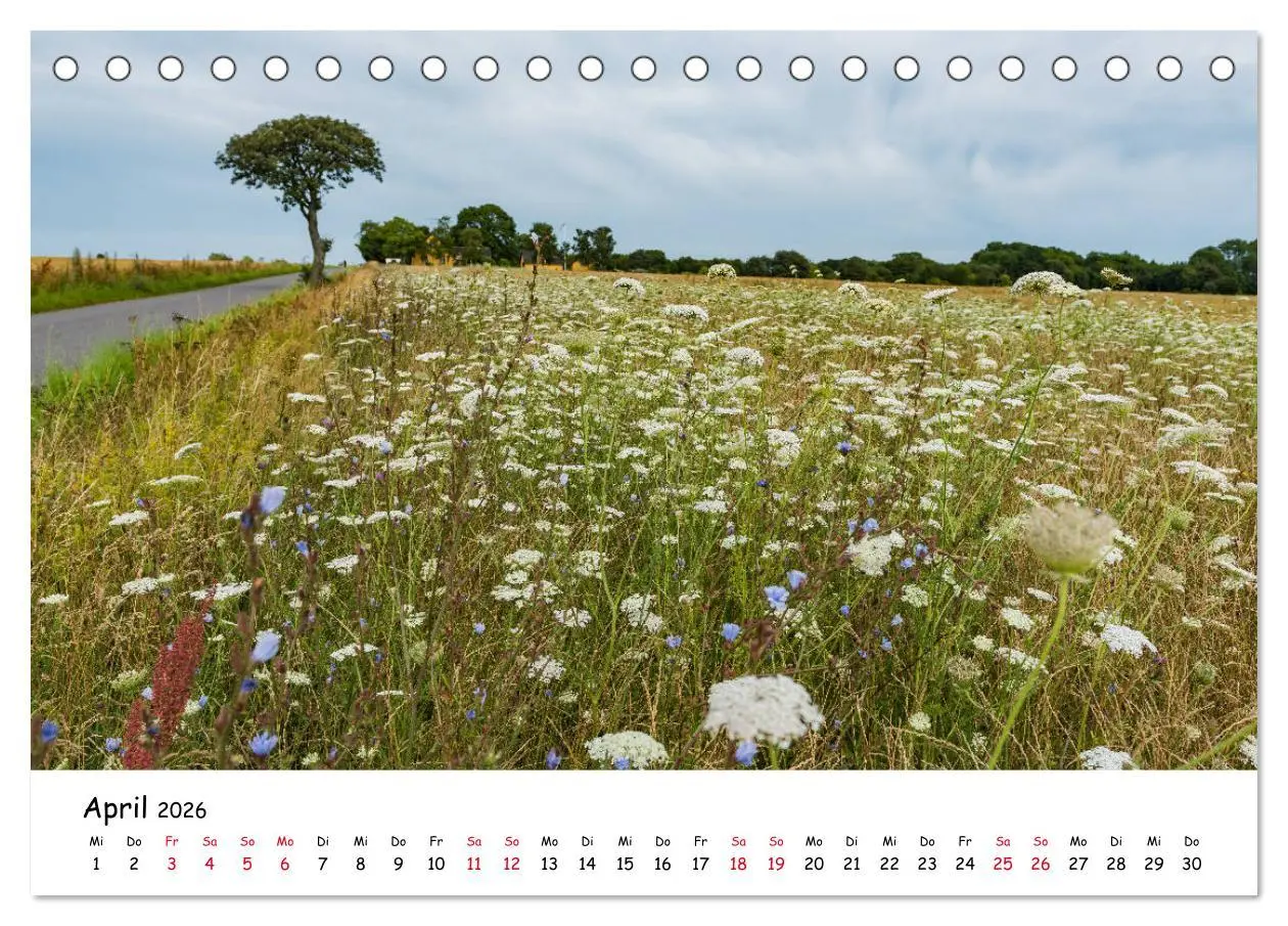 Bild: 9783457841969 | Bornholm 2026 Ein Jahr im Sommer (Tischkalender 2026 DIN A5 quer),...