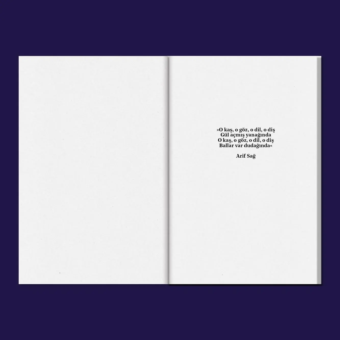Bild: 9783982122069 | Yeni Yeserenler | Duygu Agal | Taschenbuch | 160 S. | Deutsch | 2023