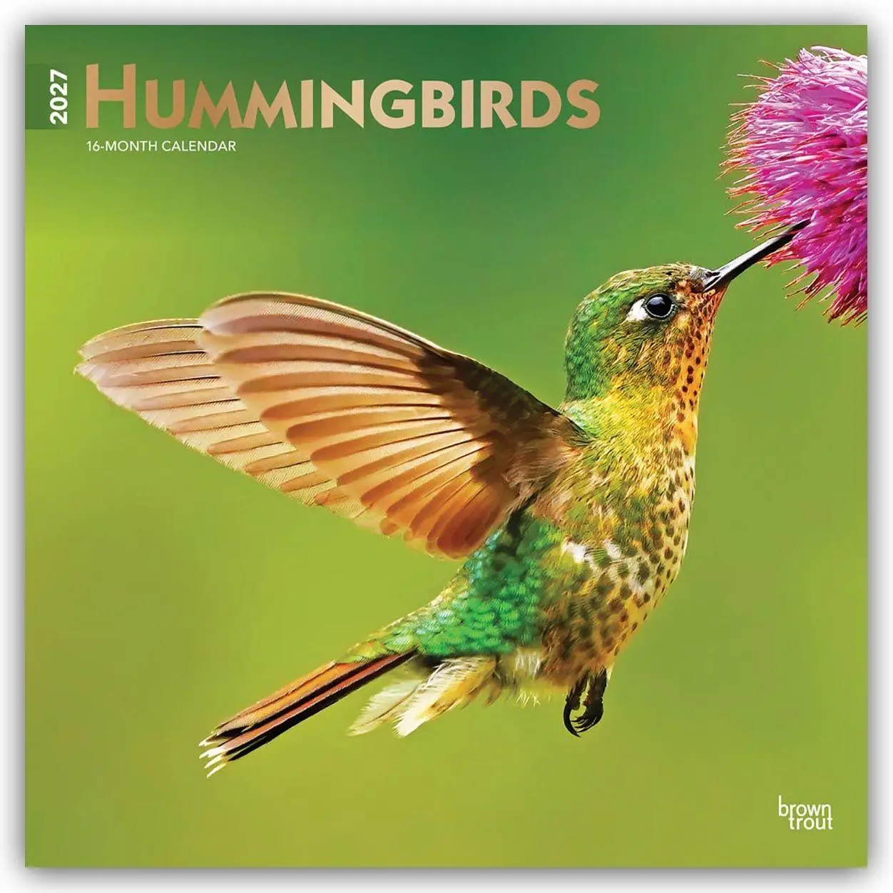 Cover: 9798330712069 | Hummingbirds - Kolibris 2027 - 16-Monatskalender | Publishers | 28 S.