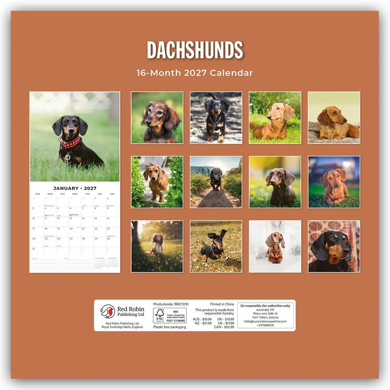 Rückseite: 9781837012169 | Dachshunds - Dackel - Dachshunde 2027 - 16-Monatskalender | Robin Red
