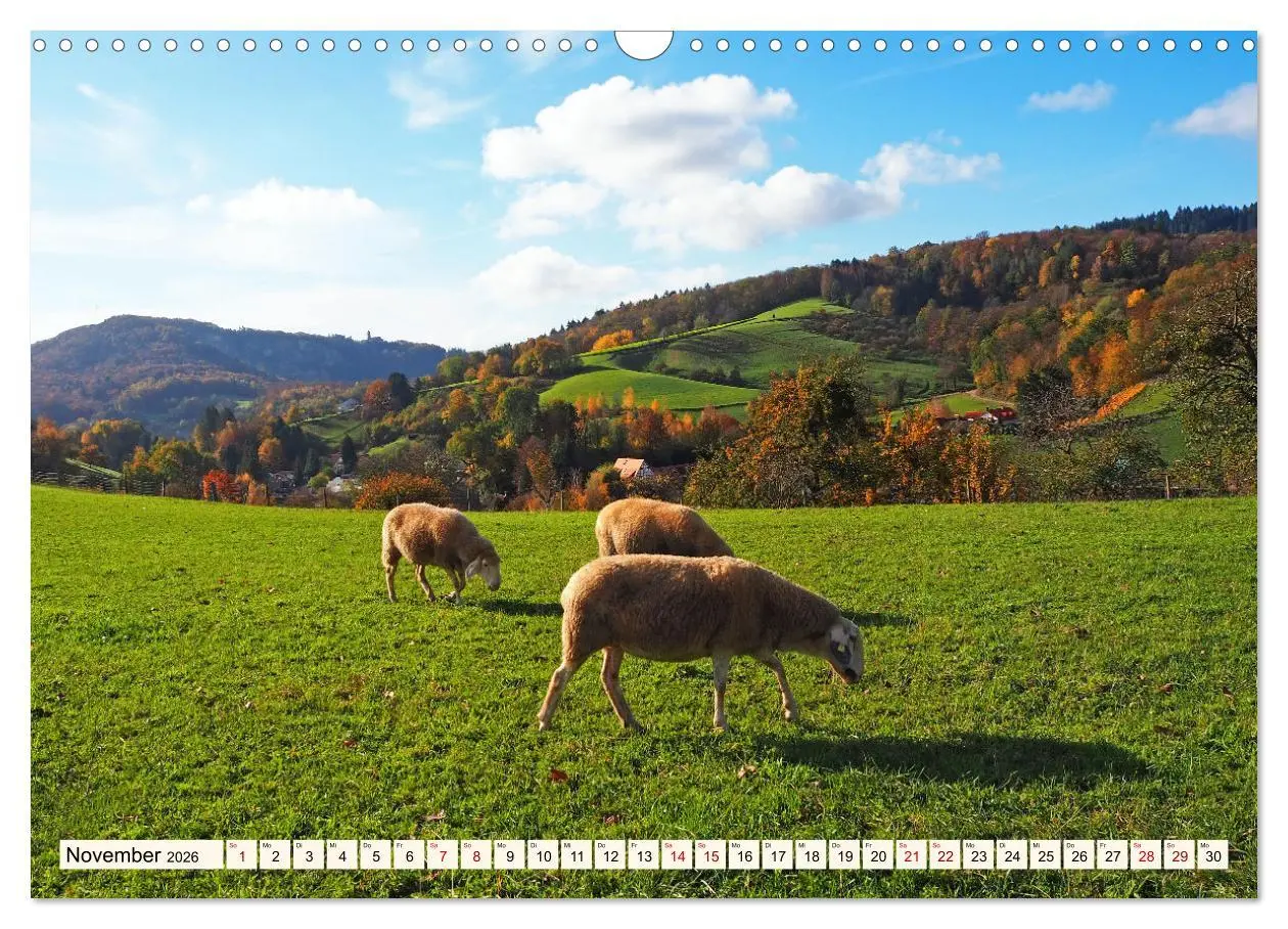 Bild: 9783457652169 | Vom Ried an die Bergstraße, durch den Odenwald ins Neckartal...