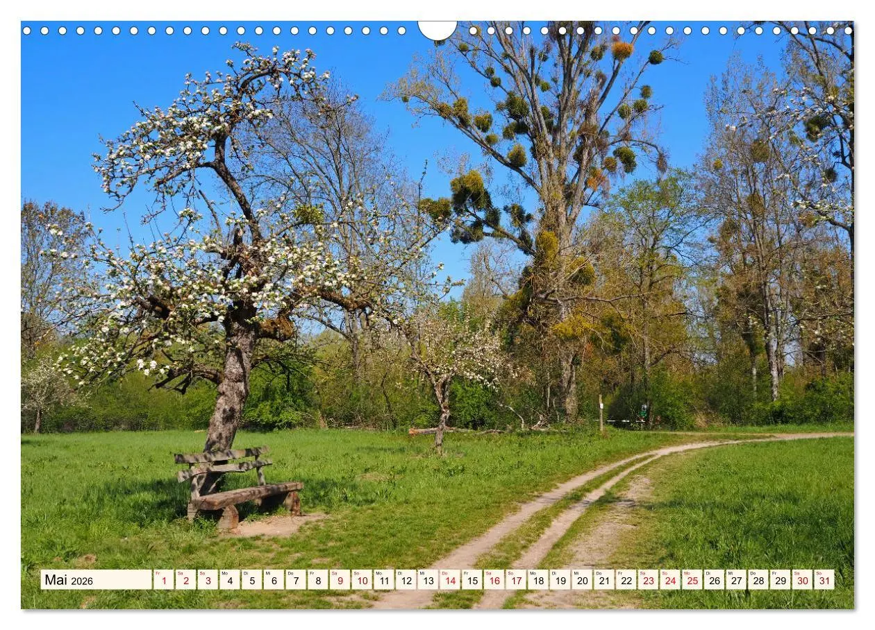 Bild: 9783457652169 | Vom Ried an die Bergstraße, durch den Odenwald ins Neckartal...