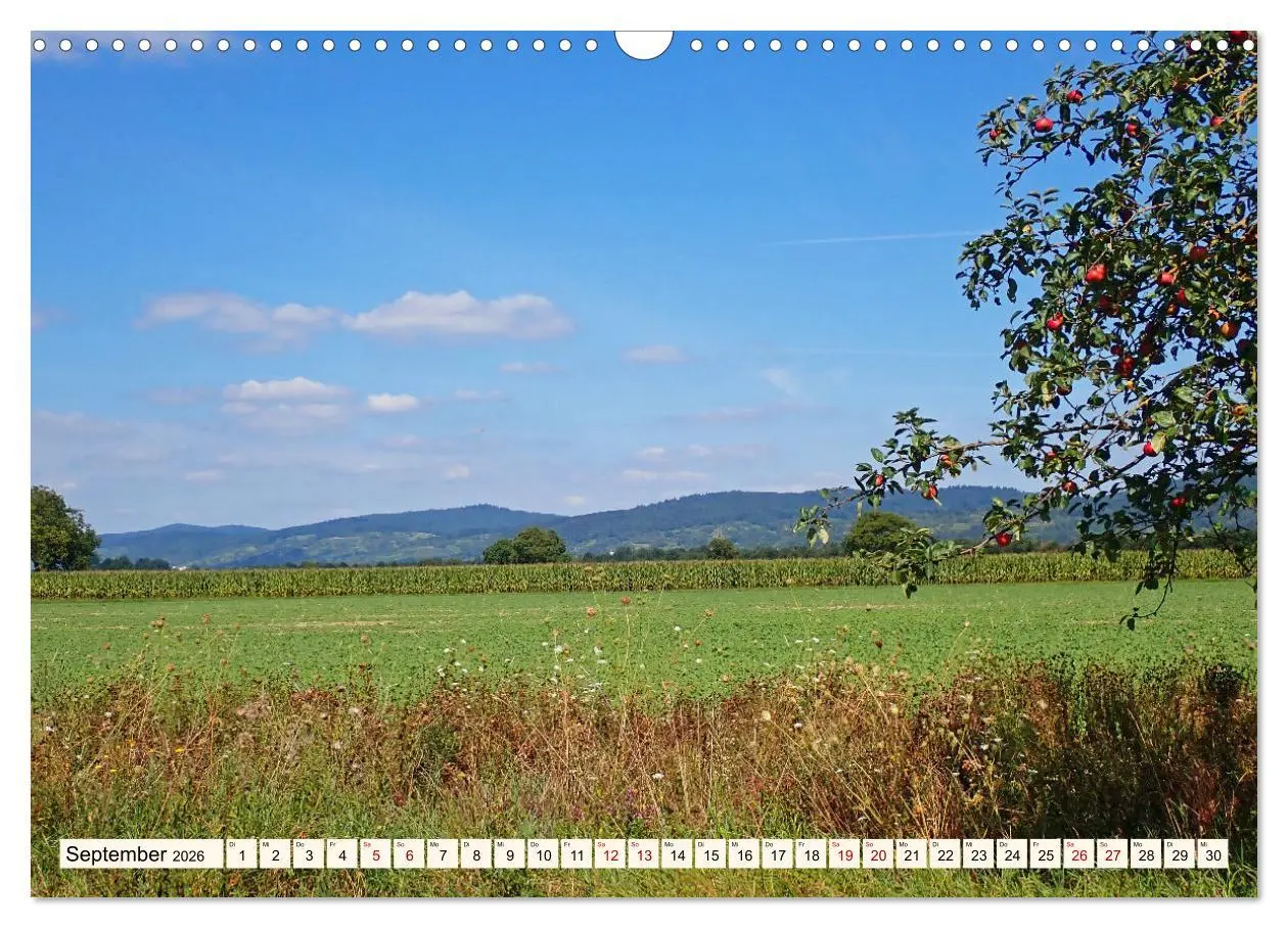 Bild: 9783457652169 | Vom Ried an die Bergstraße, durch den Odenwald ins Neckartal...