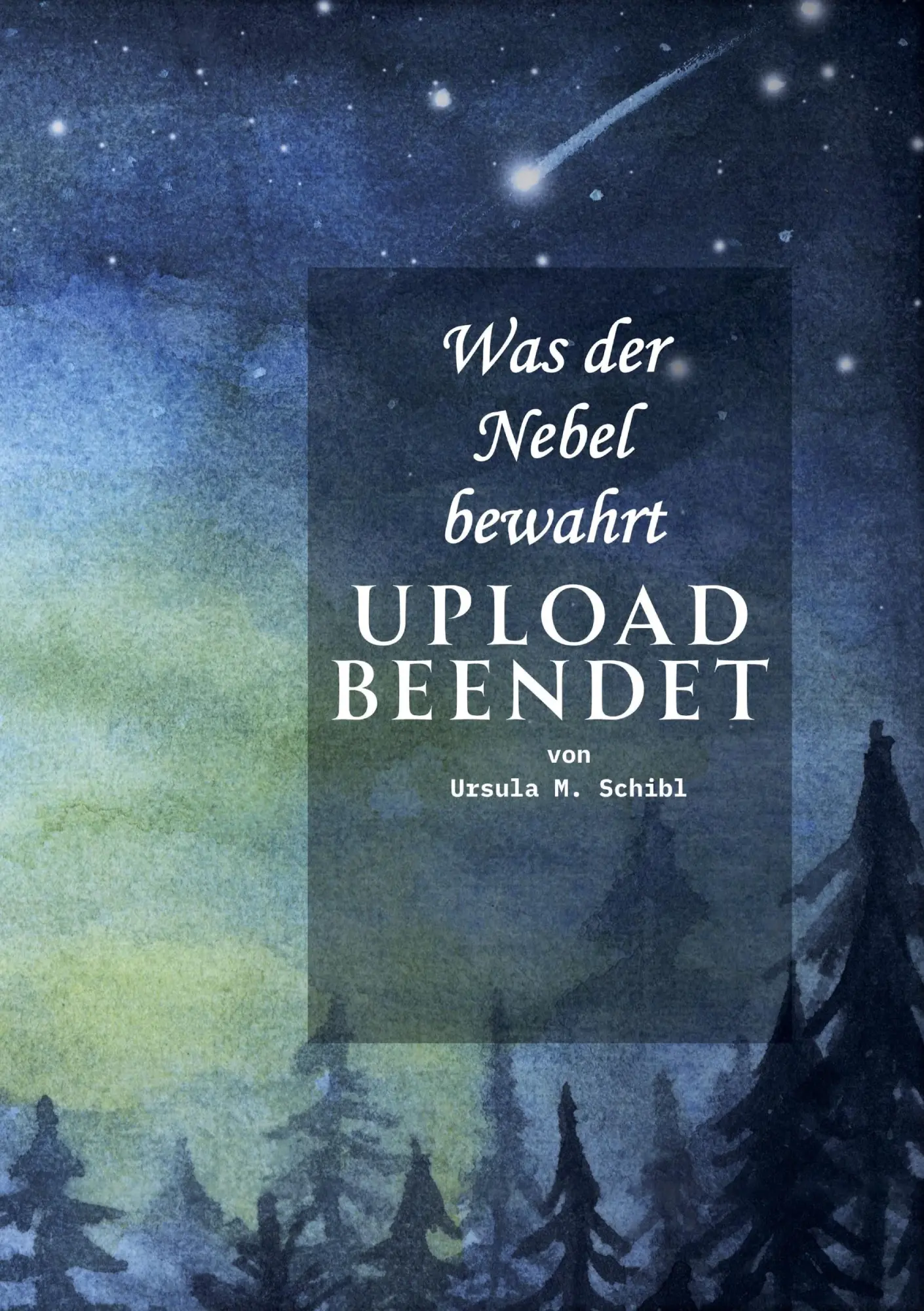 Cover: 9783695632169 | Was der Nebel bewahrt - UPLOAD beendet | Ursula Michaela Schibl | Buch