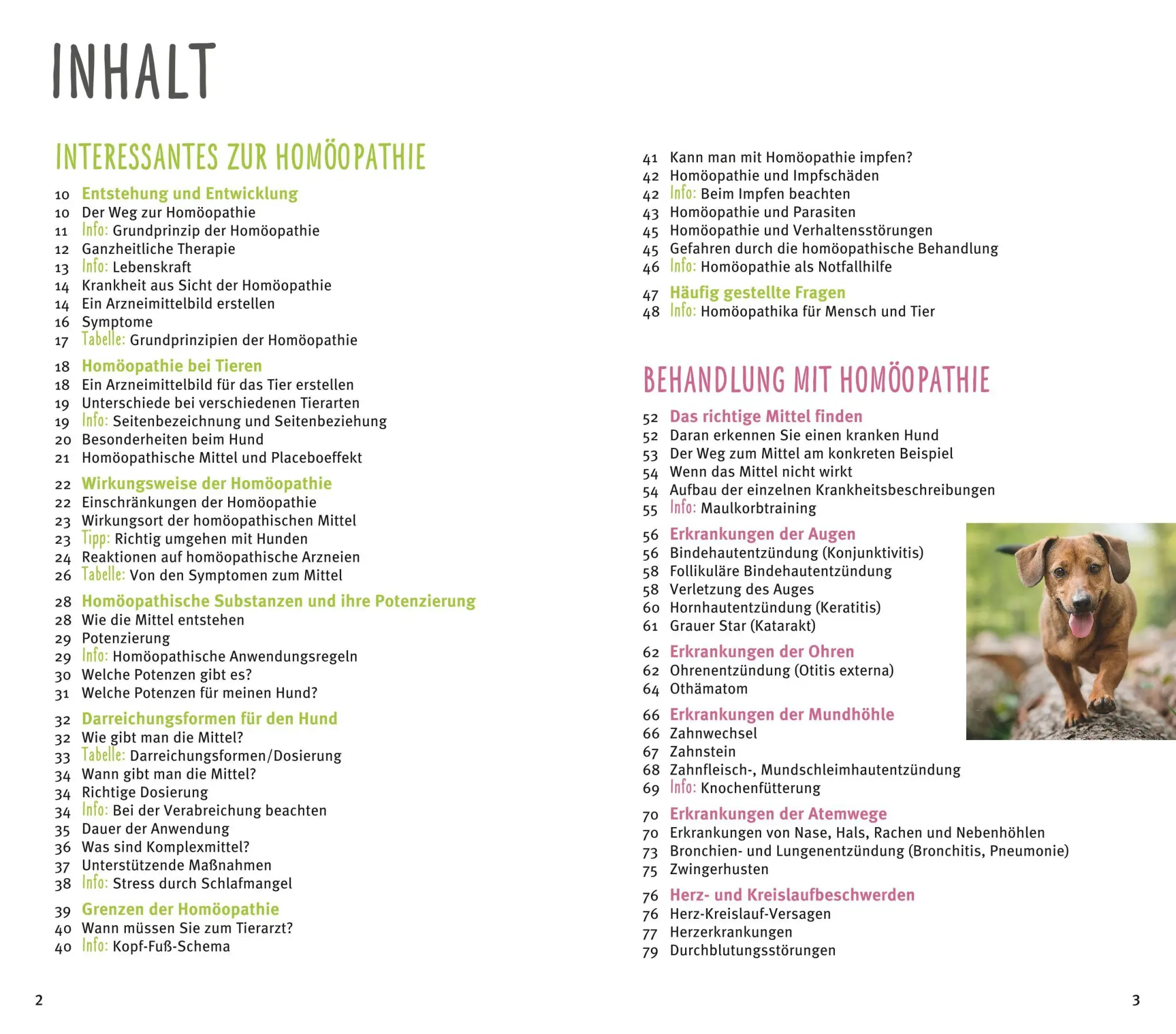 Bild: 9783833852169 | Homöopathie für Hunde | Sanfte Hilfe für Ihren Hund. Plus: Bach-Blüten
