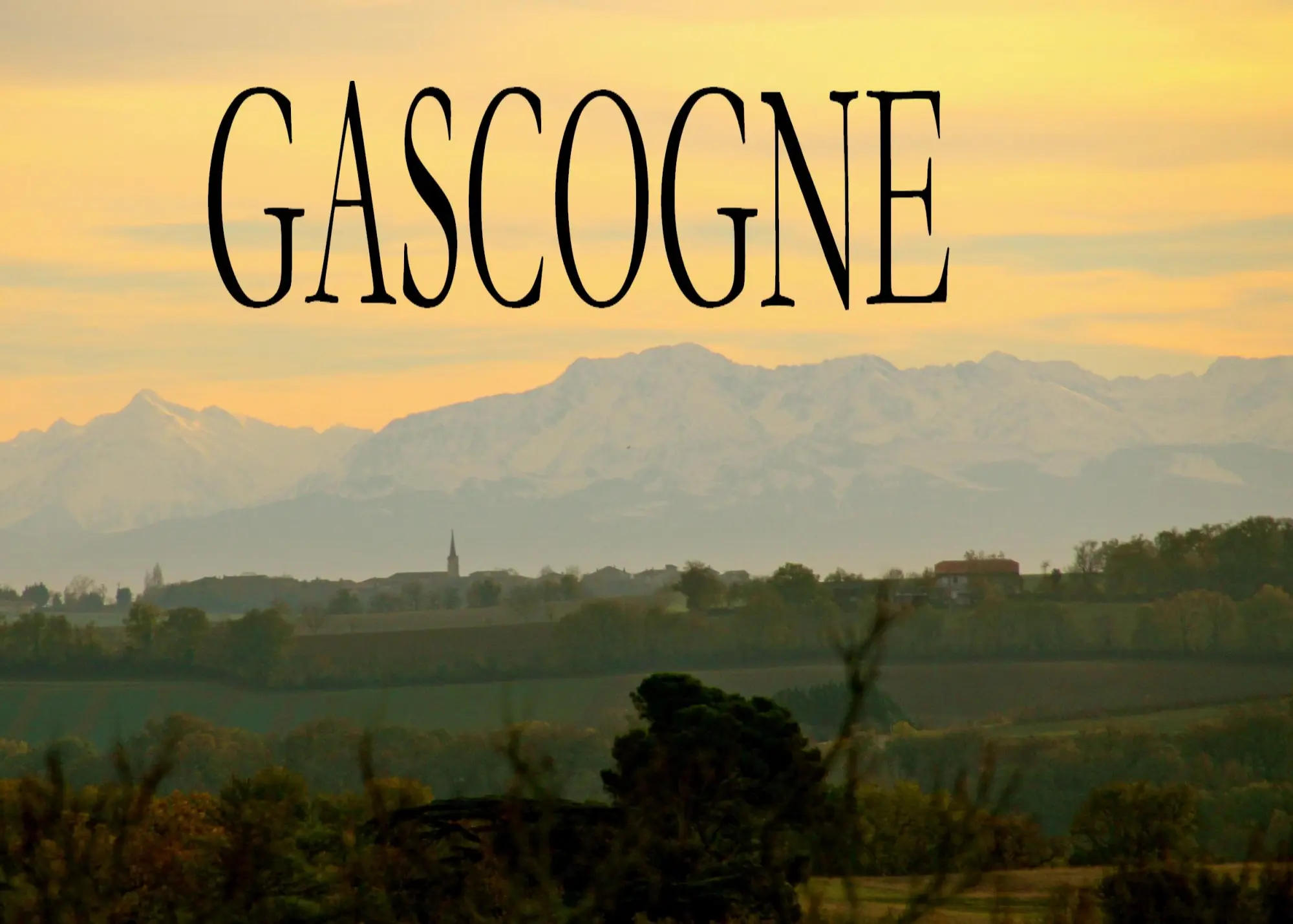 Cover: 9783945342169 | Bildband Gascogne | Robert Berger | Taschenbuch | 88 S. | Deutsch