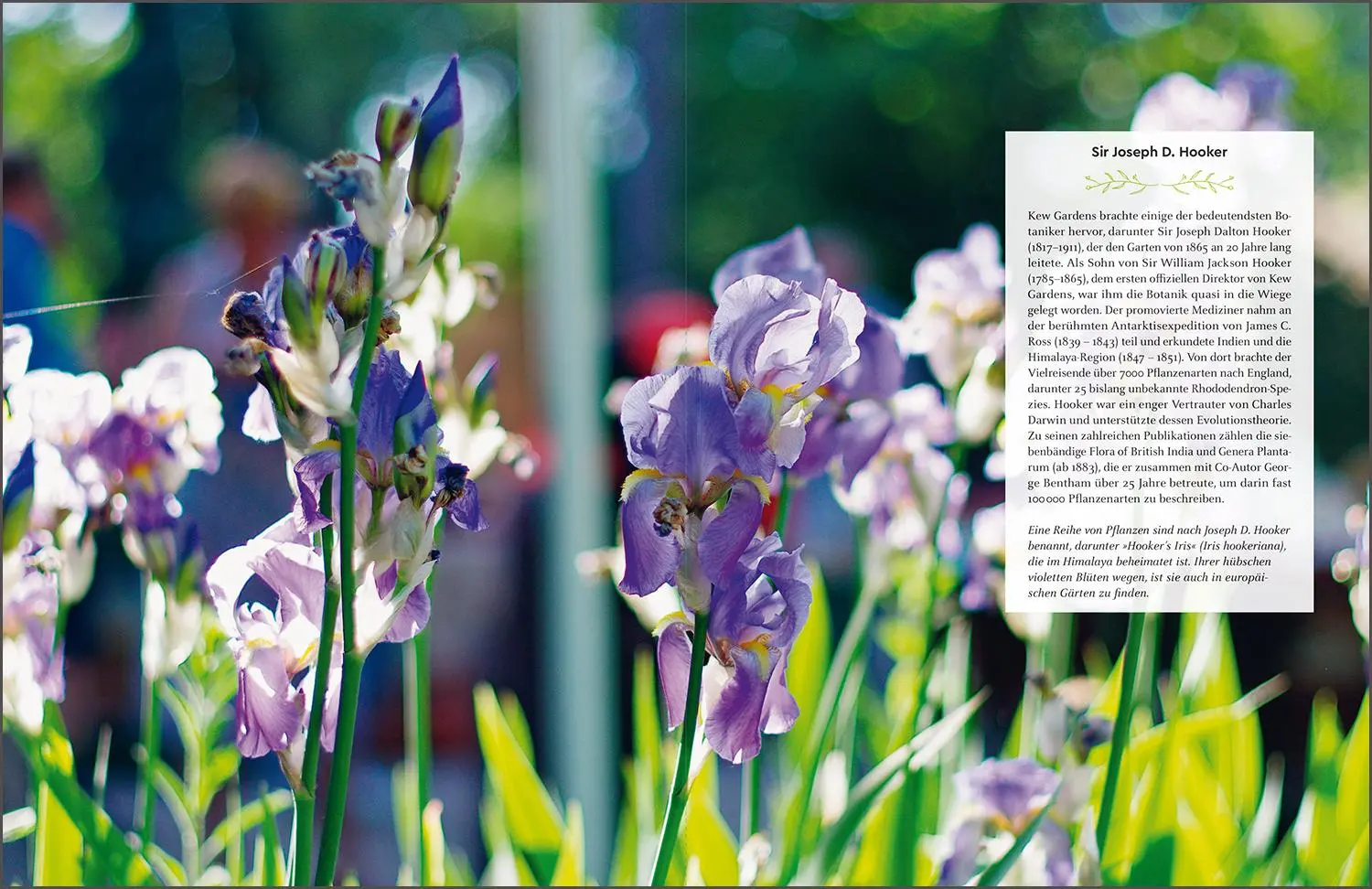 Bild: 9783969652169 | KUNTH Europas grüne Paradiese | Rita Henss (u. a.) | Buch | 288 S.