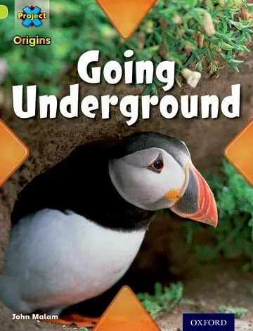 Cover: 9780198302469 | Project X Origins: Lime Book Band, Oxford Level 11: Underground:...
