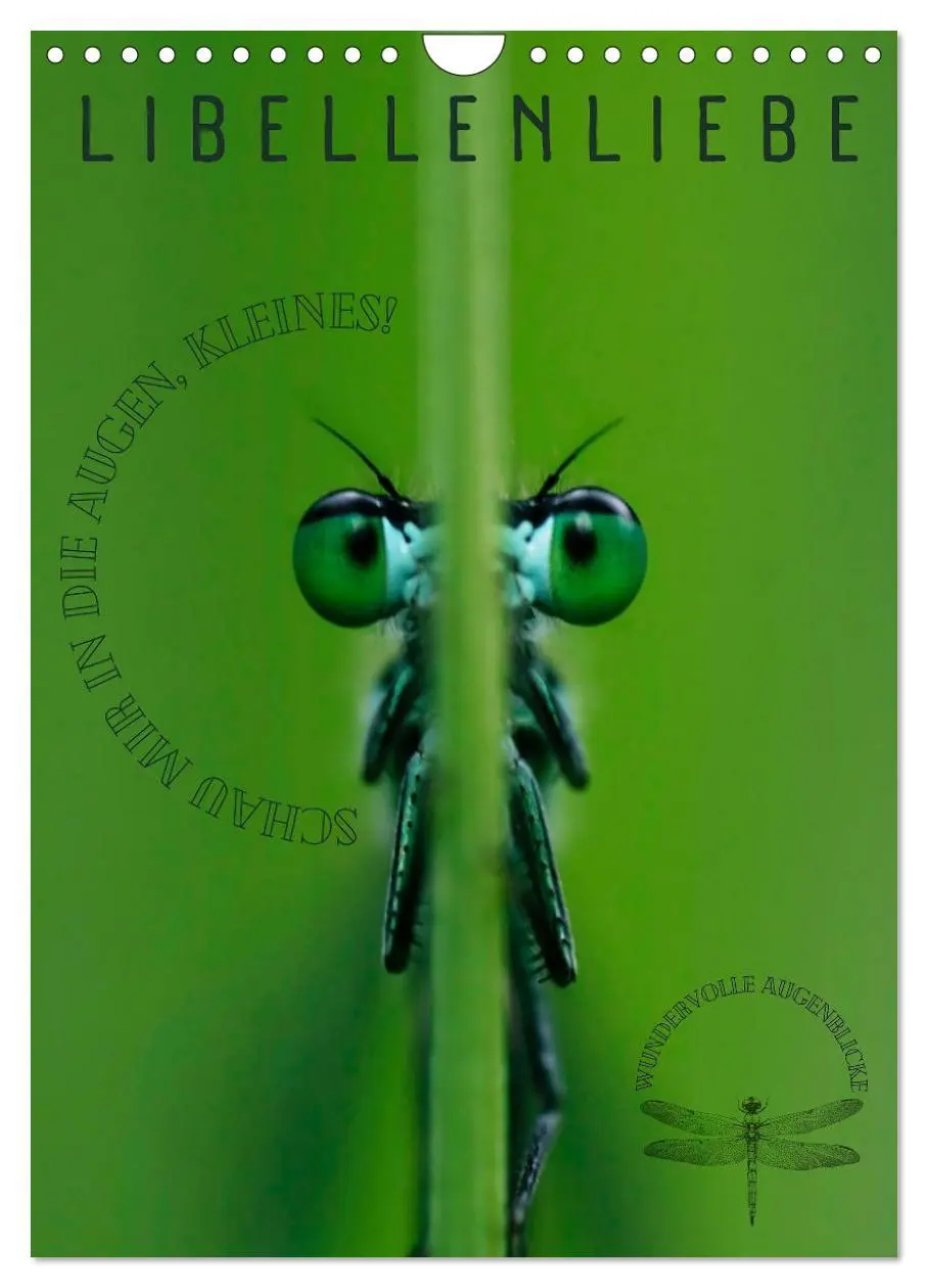 Cover: 9783383822469 | LibellenLiebe - Schau mir in die Augen, Kleines! (Wandkalender 2025...