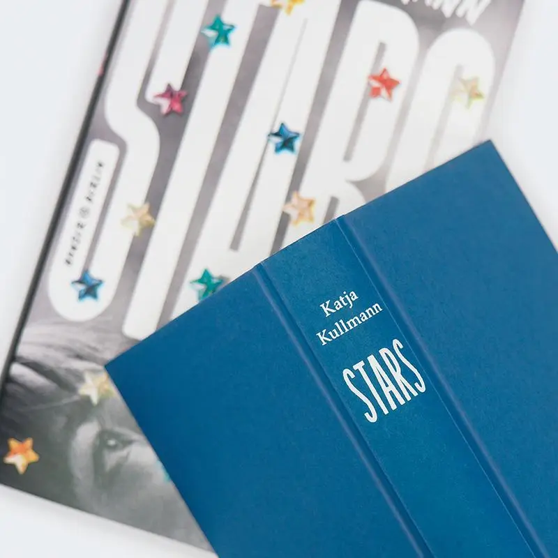 Bild: 9783446282469 | Stars | Roman | Katja Kullmann | Buch | 256 S. | Deutsch | 2025