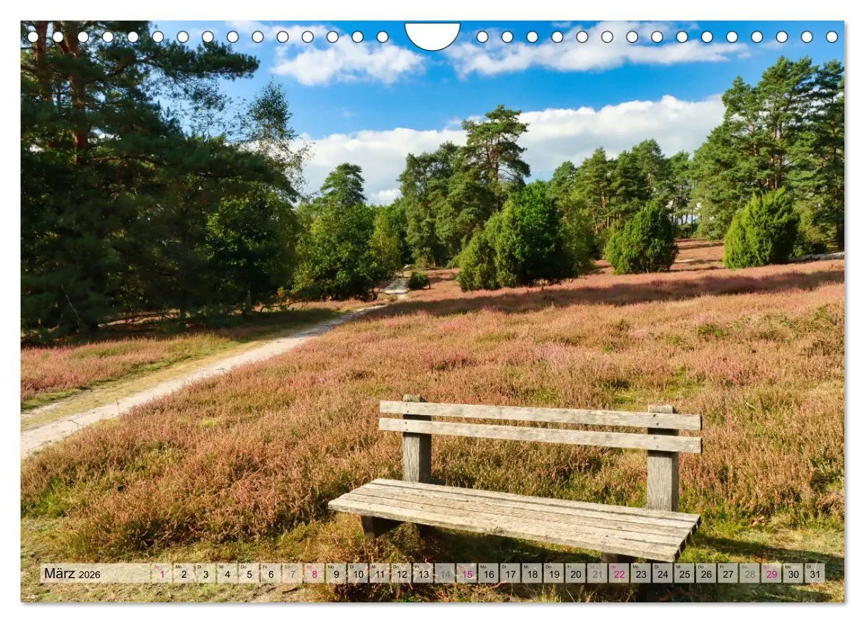 Bild: 9783457312469 | Lüneburger Südheide (Wandkalender 2026 DIN A4 quer), CALVENDO...