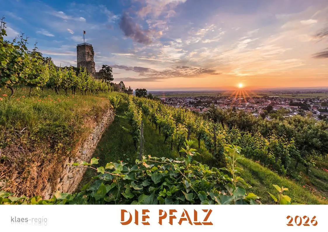 Cover: 9783965352469 | Die Pfalz 2026 Bildkalender A4 quer, spiralgebunden | Holger Klaes