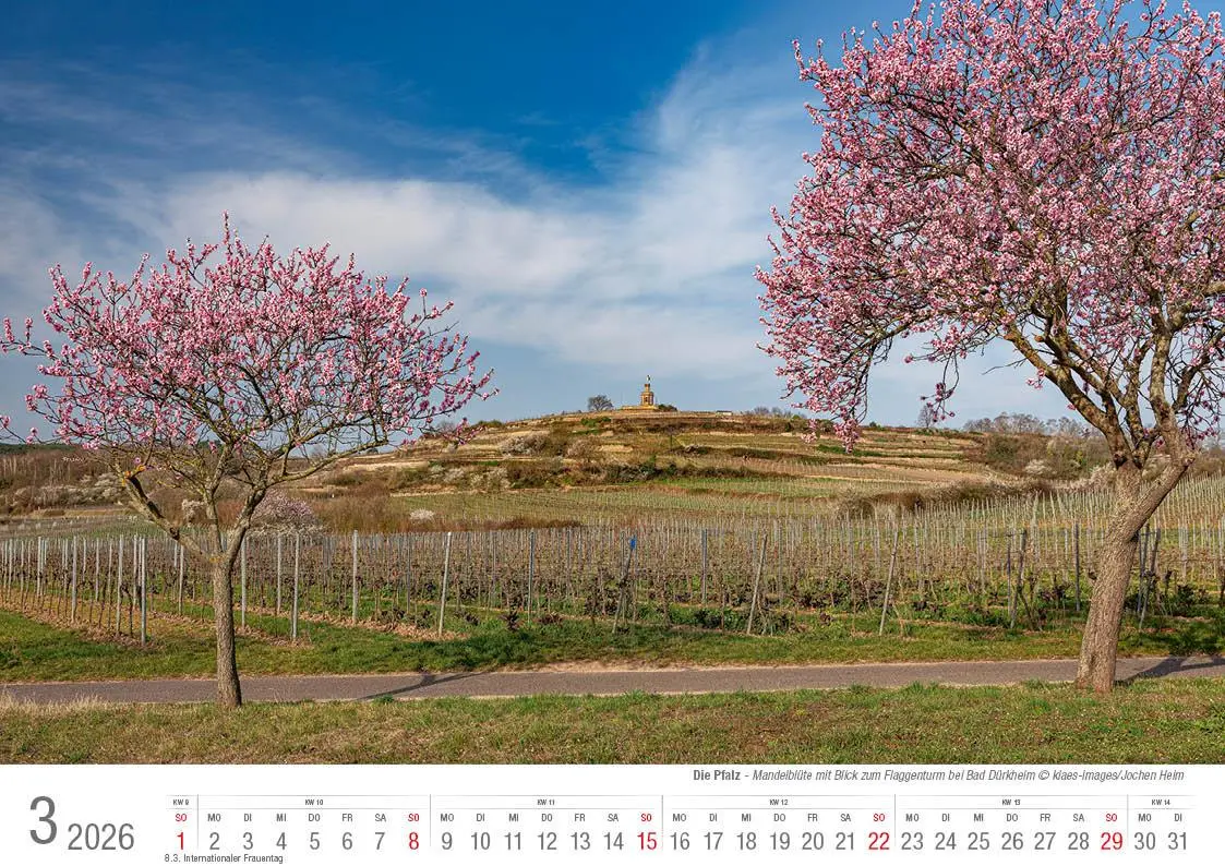 Bild: 9783965352469 | Die Pfalz 2026 Bildkalender A4 quer, spiralgebunden | Holger Klaes