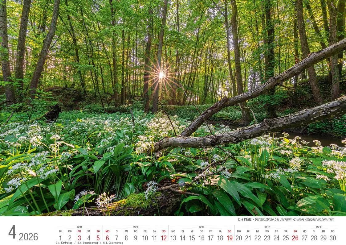 Bild: 9783965352469 | Die Pfalz 2026 Bildkalender A4 quer, spiralgebunden | Holger Klaes