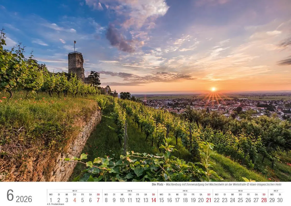 Bild: 9783965352469 | Die Pfalz 2026 Bildkalender A4 quer, spiralgebunden | Holger Klaes