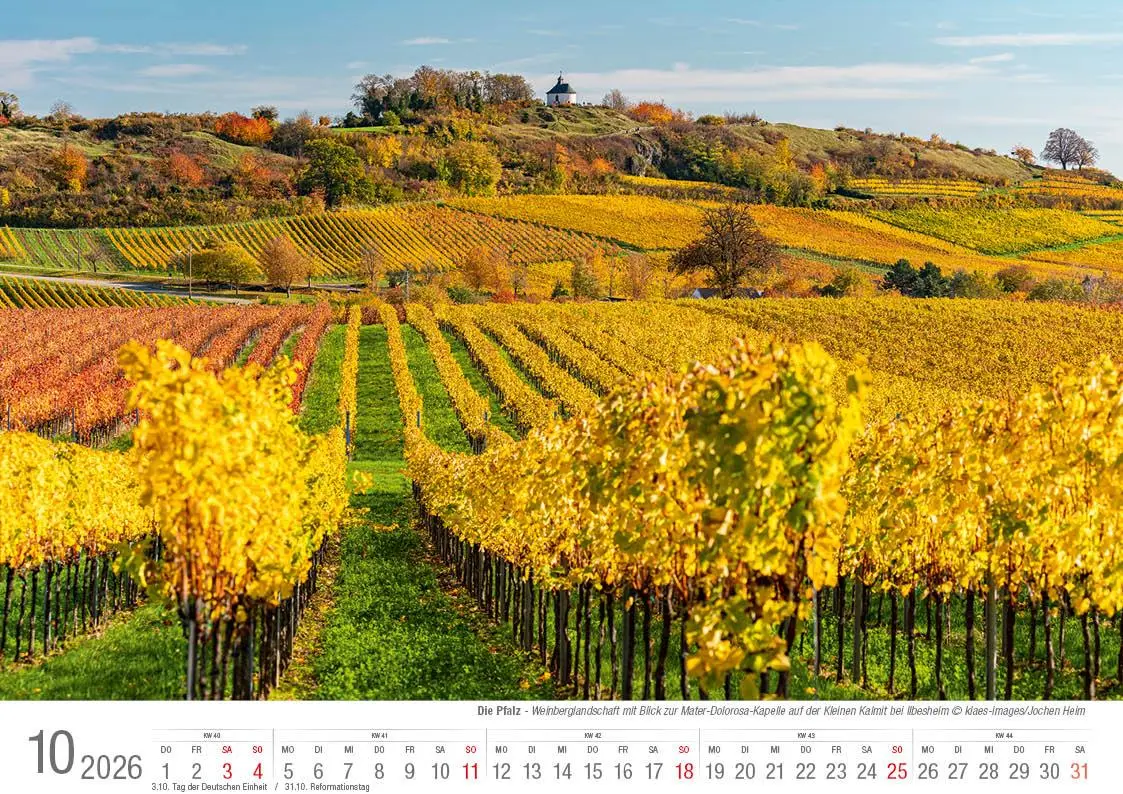 Bild: 9783965352469 | Die Pfalz 2026 Bildkalender A4 quer, spiralgebunden | Holger Klaes