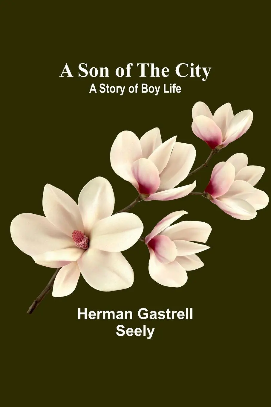 Cover: 9789357962469 | A Son of the City; A Story of Boy Life | Herman Gastrell Seely | Buch
