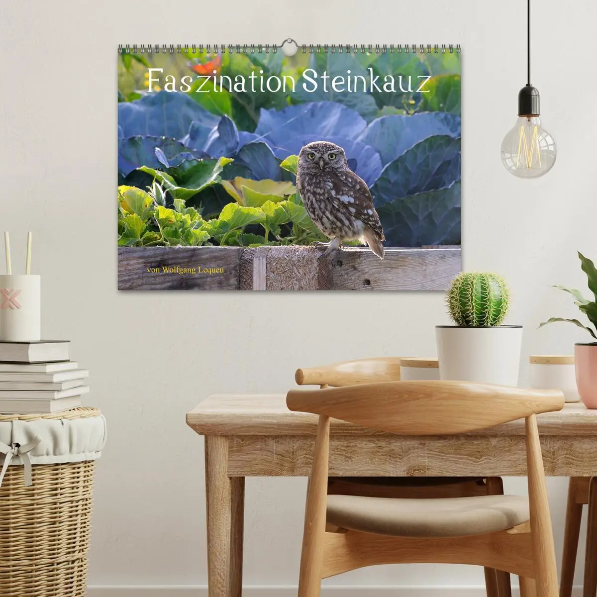 Bild: 9783457612569 | Faszination Steinkauz (Wandkalender 2026 DIN A3 quer), CALVENDO...