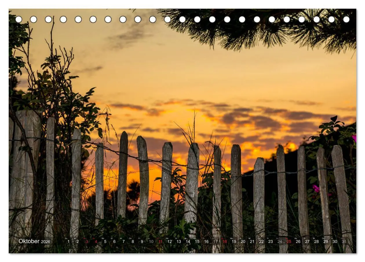 Bild: 9783457922569 | Amrum Insel am Wattenmeer (Tischkalender 2026 DIN A5 quer),...