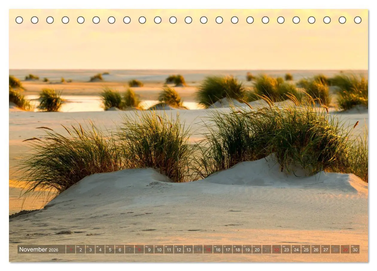 Bild: 9783457922569 | Amrum Insel am Wattenmeer (Tischkalender 2026 DIN A5 quer),...