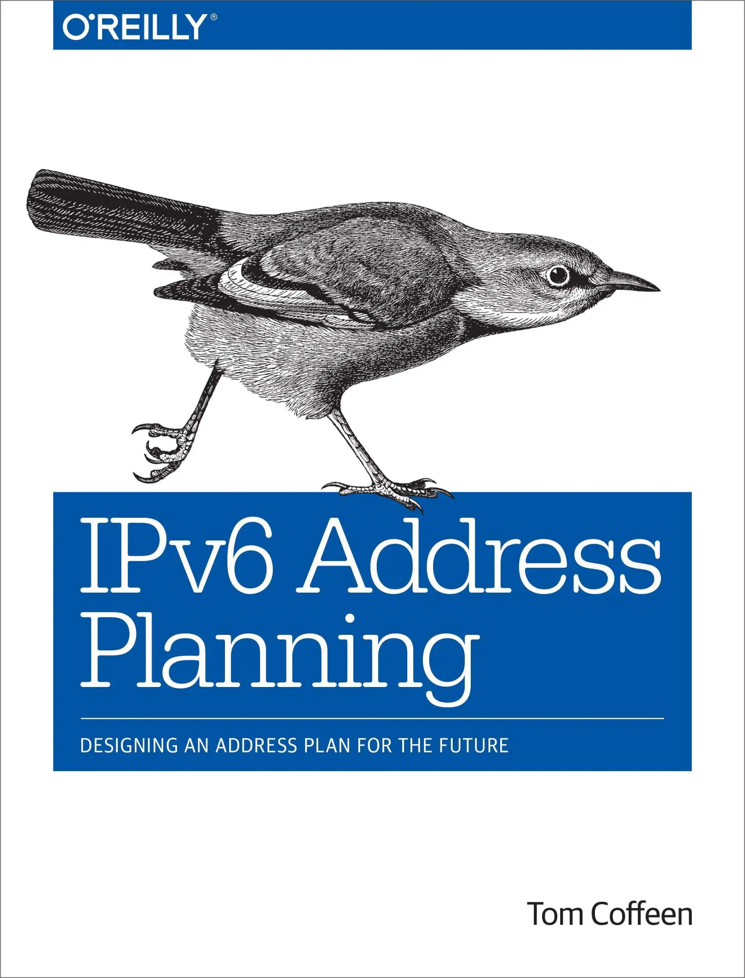 Cover: 9781491902769 | Ipv6 Address Planning | Designing an Address Plan for the Future | XXI