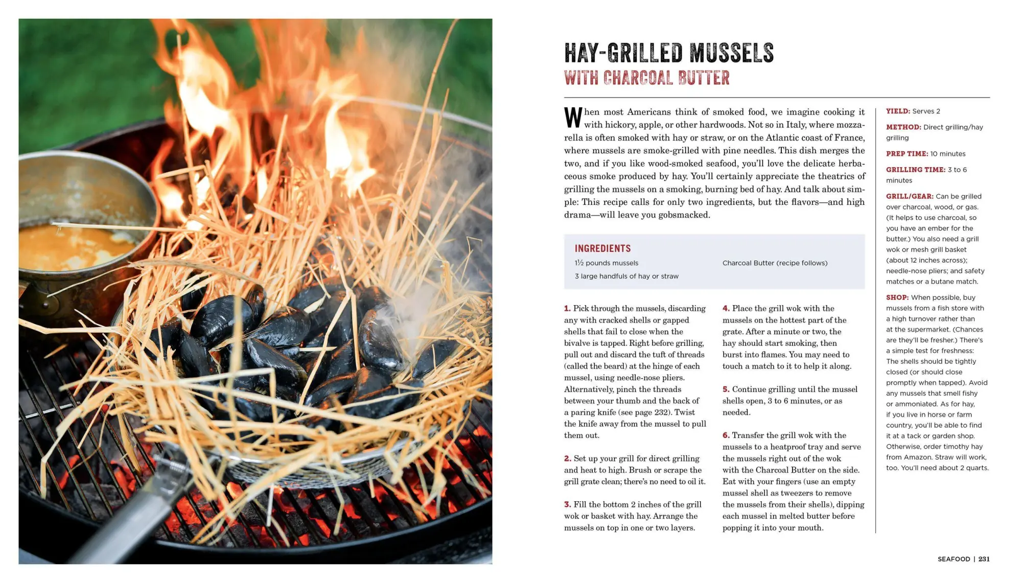 Bild: 9781523502769 | Project Fire | Steven Raichlen | Taschenbuch | Kartoniert / Broschiert