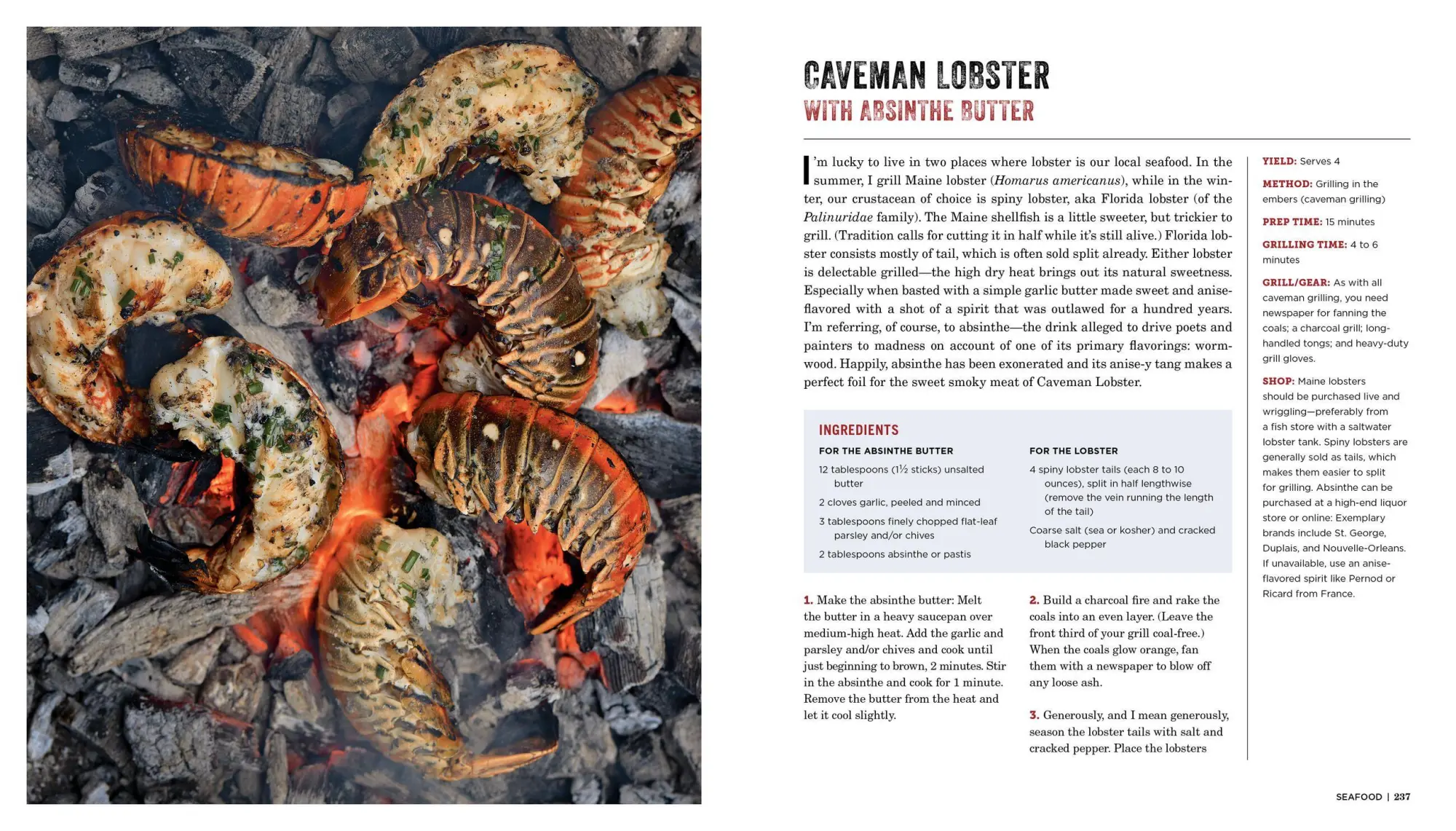 Bild: 9781523502769 | Project Fire | Steven Raichlen | Taschenbuch | Kartoniert / Broschiert