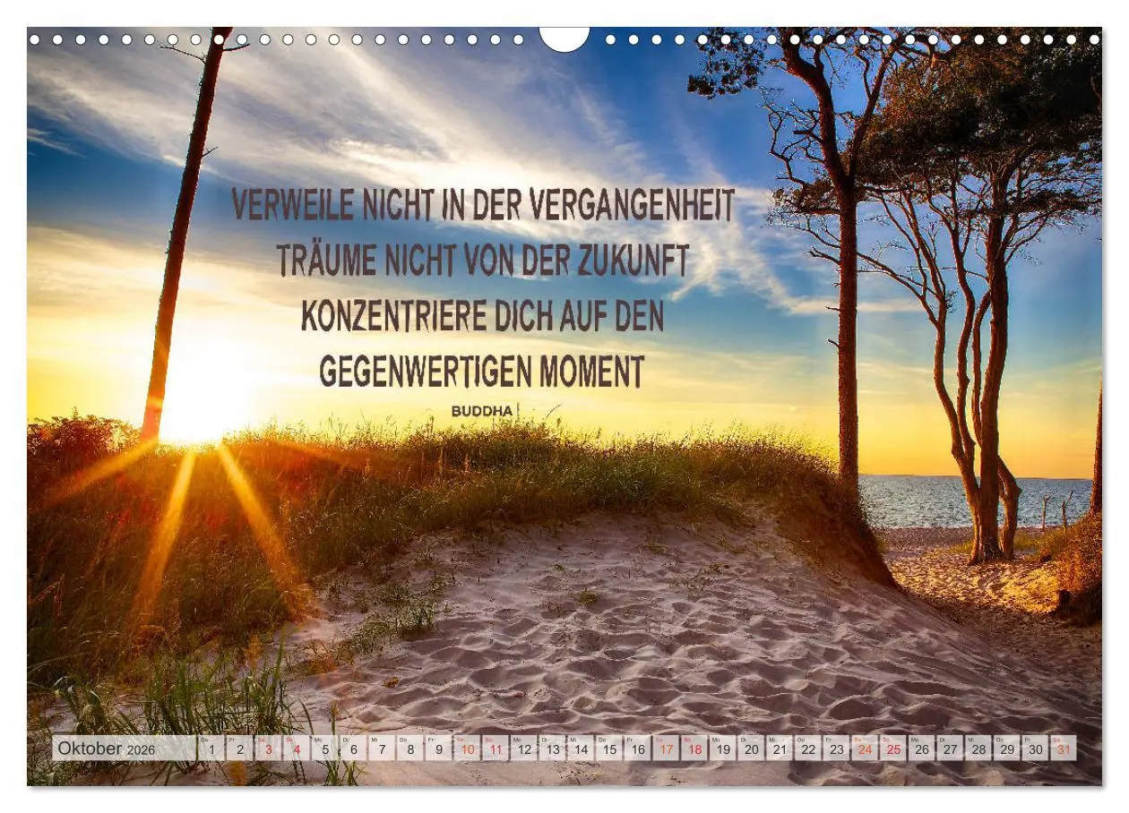 Bild: 9783457692769 | Motivation und Meer (Wandkalender 2026 DIN A3 quer), CALVENDO...