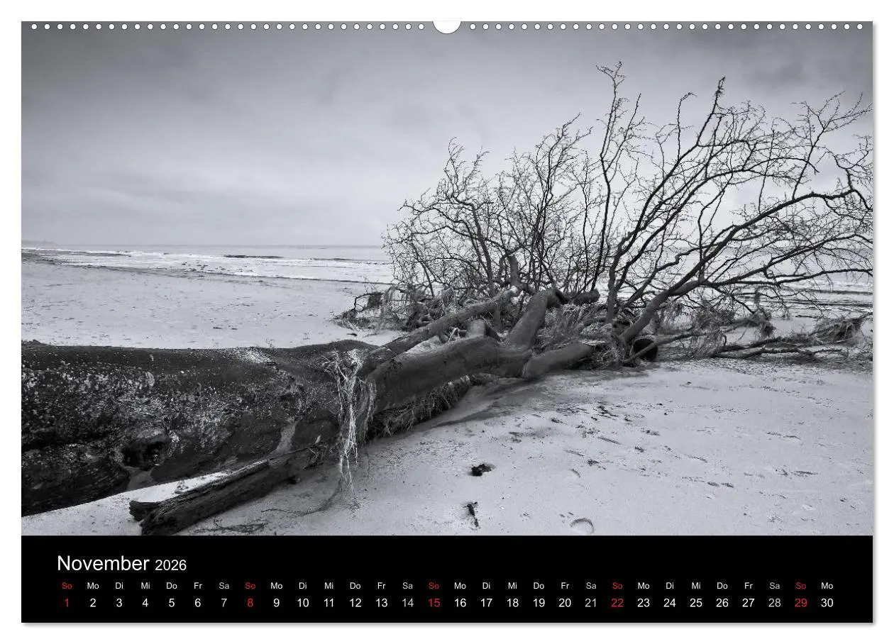 Bild: 9783516082869 | Strandspaziergang an der Ostsee (hochwertiger Premium Wandkalender...