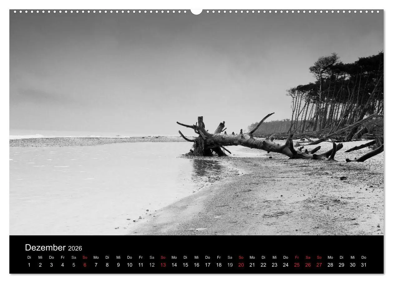 Bild: 9783516082869 | Strandspaziergang an der Ostsee (hochwertiger Premium Wandkalender...
