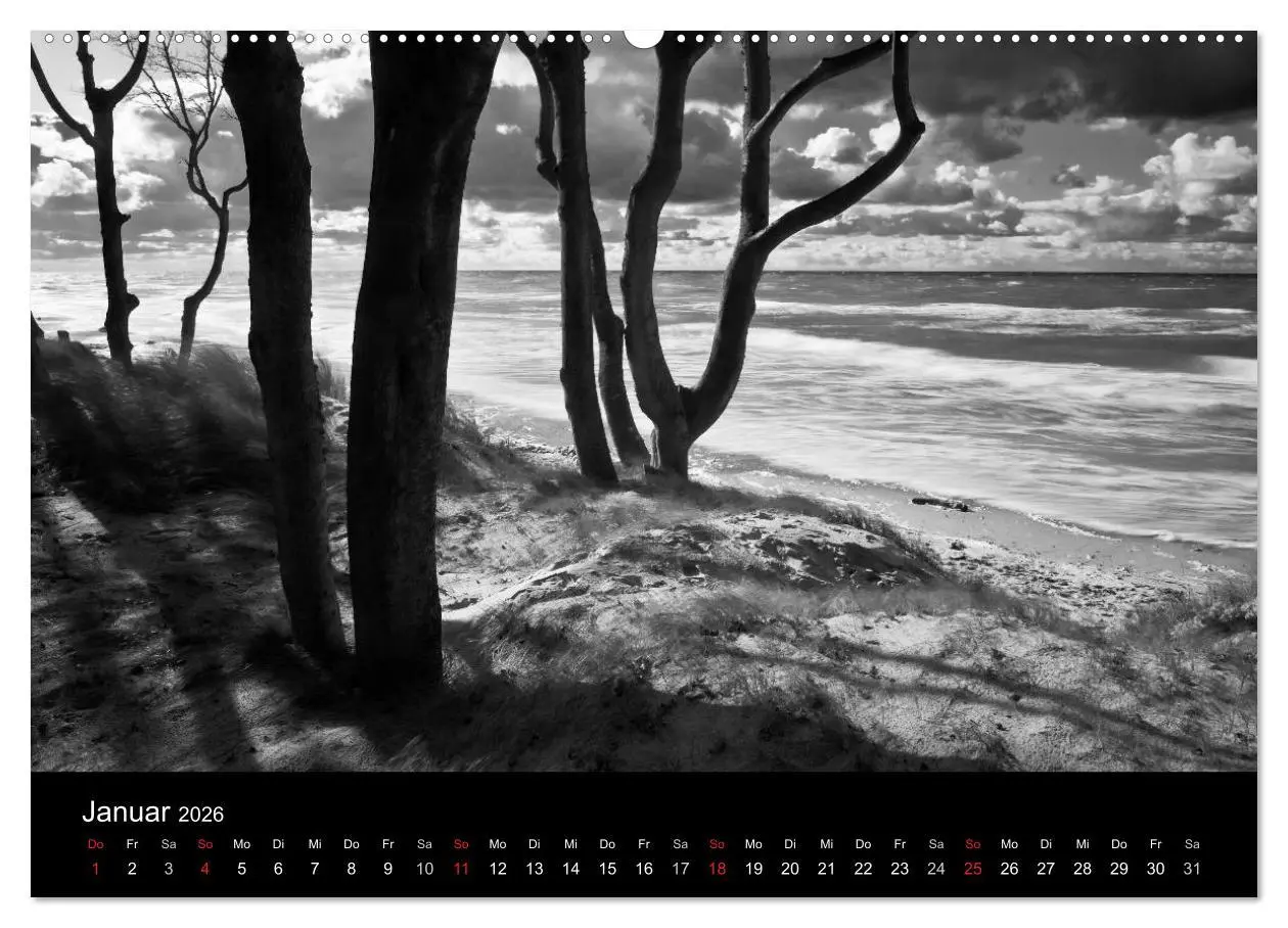 Bild: 9783516082869 | Strandspaziergang an der Ostsee (hochwertiger Premium Wandkalender...
