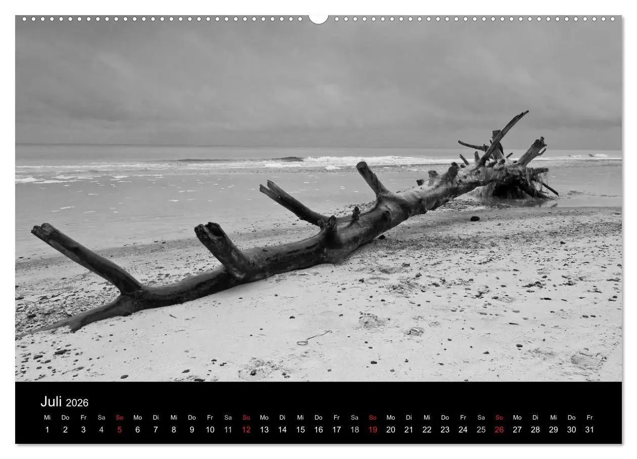 Bild: 9783516082869 | Strandspaziergang an der Ostsee (hochwertiger Premium Wandkalender...