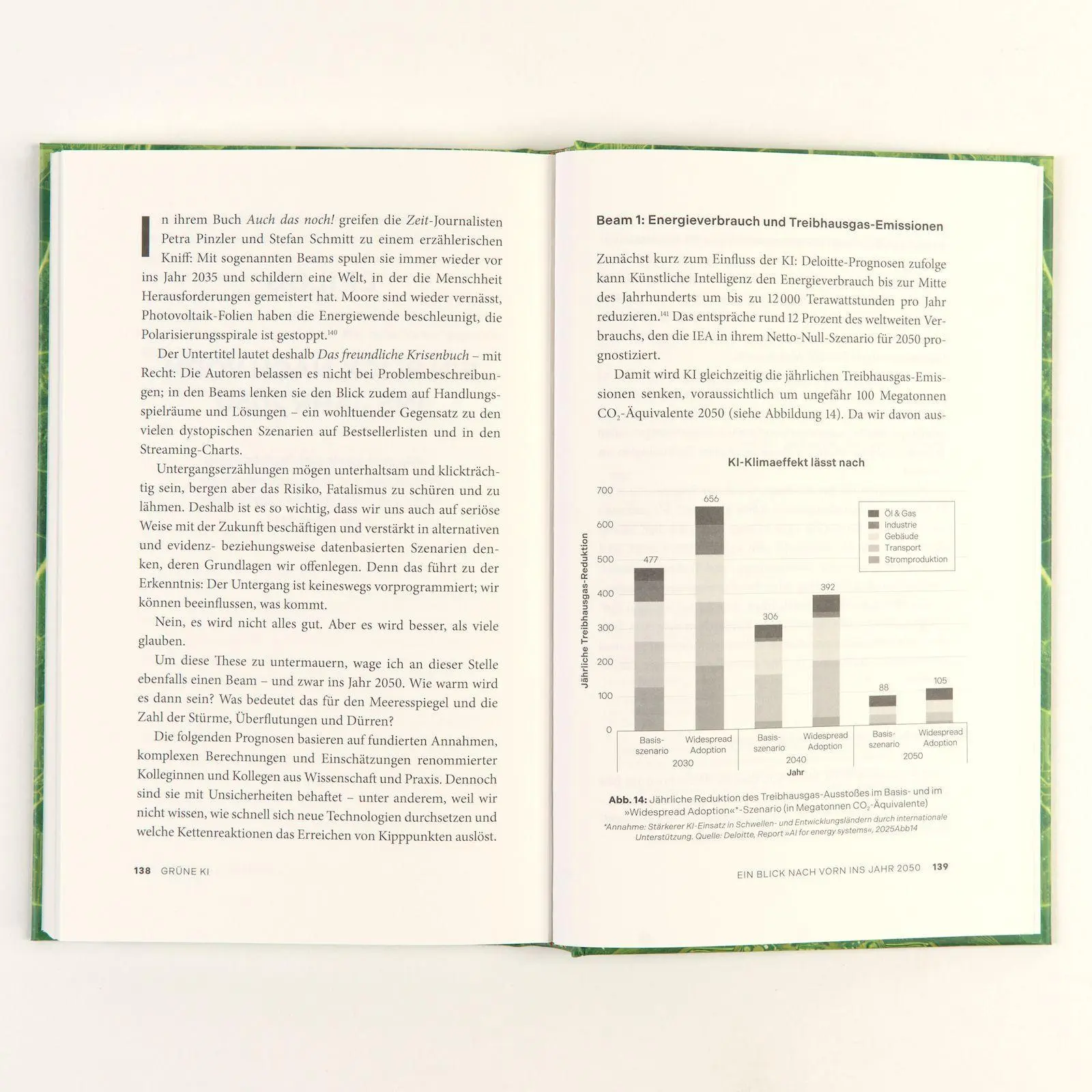 Bild: 9783593522869 | Grüne KI | Bernhard Lorentz | Buch | 160 S. | Deutsch | 2026