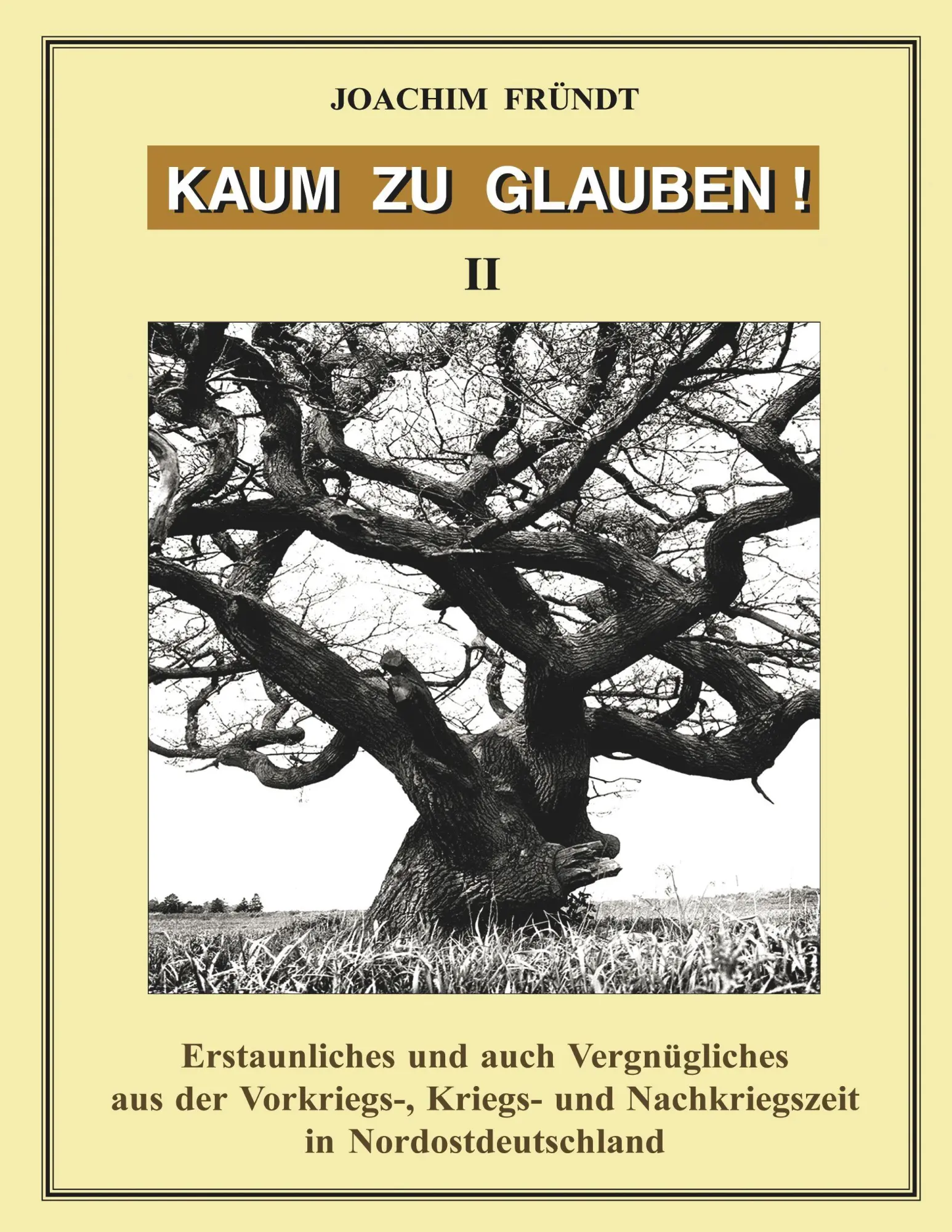 Cover: 9783831112869 | Kaum zu glauben! Band 2 | Joachim Fründt | Taschenbuch | 180 S. | 2001