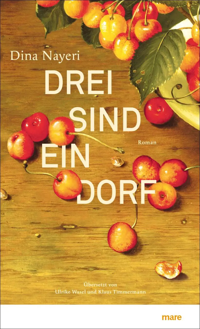 Cover: 9783866482869 | Drei sind ein Dorf | Dina Nayeri | Buch | 368 S. | Deutsch | 2018
