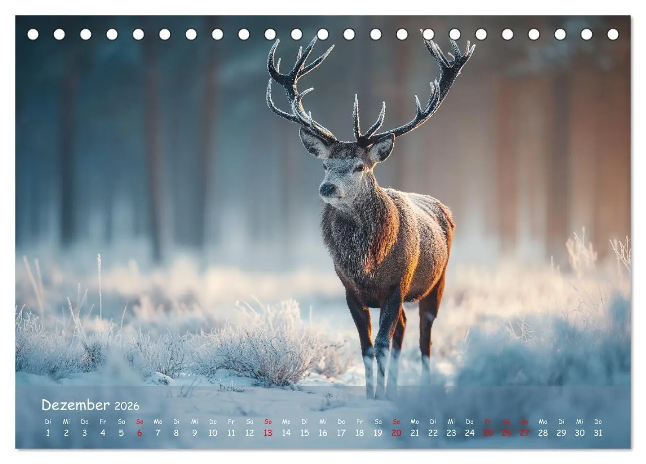 Bild: 9783516723069 | Jagd und Natur - Kalender für Jäger mit Wildtieren Deutschlands im...