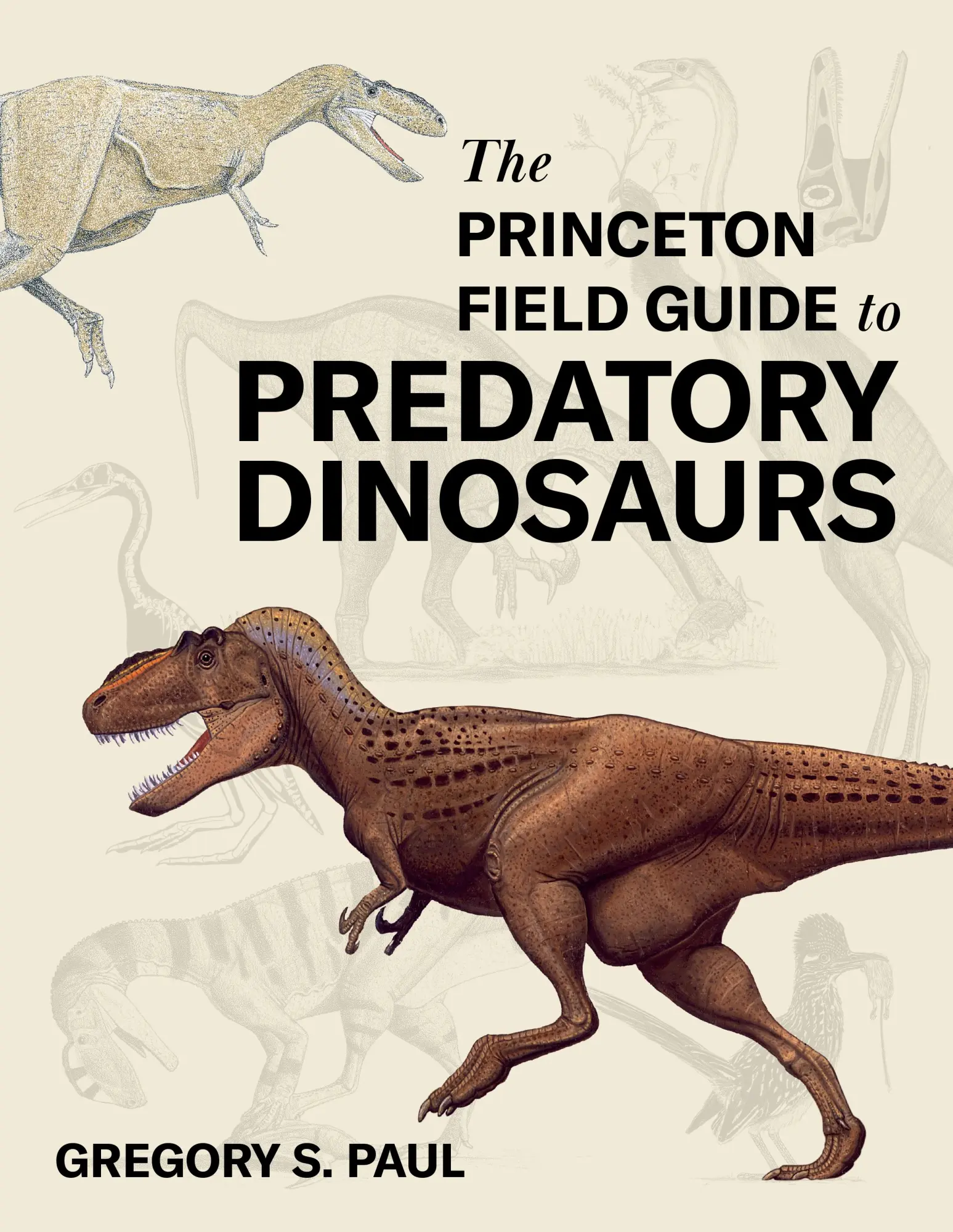 Cover: 9780691253169 | The Princeton Field Guide to Predatory Dinosaurs | Gregory S Paul