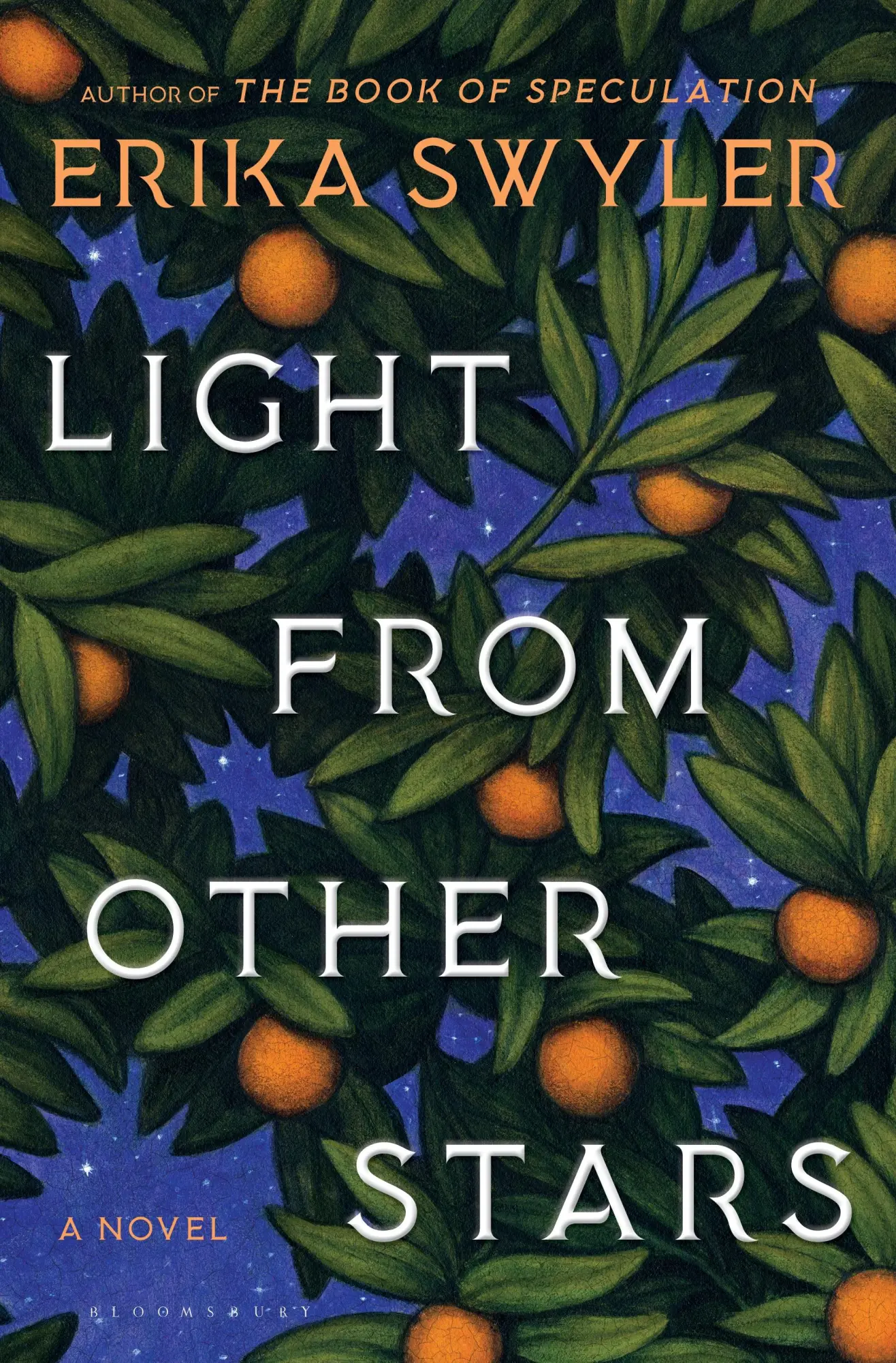 Cover: 9781635573169 | Light from Other Stars | Erika Swyler | Buch | Gebunden | Englisch