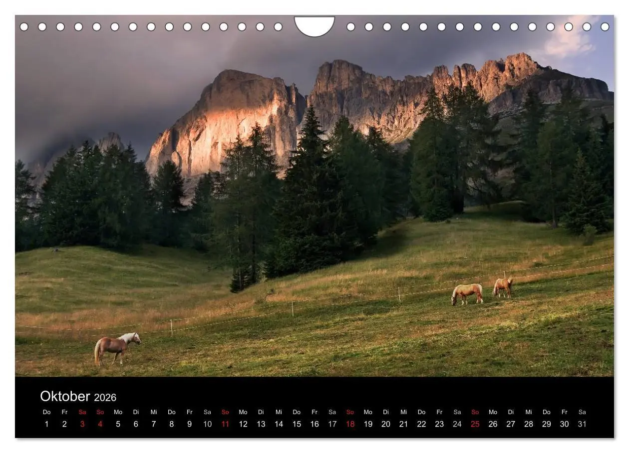 Bild: 9783516023169 | Wunderschöne Haflingerwelt (Wandkalender 2026 DIN A4 quer),...