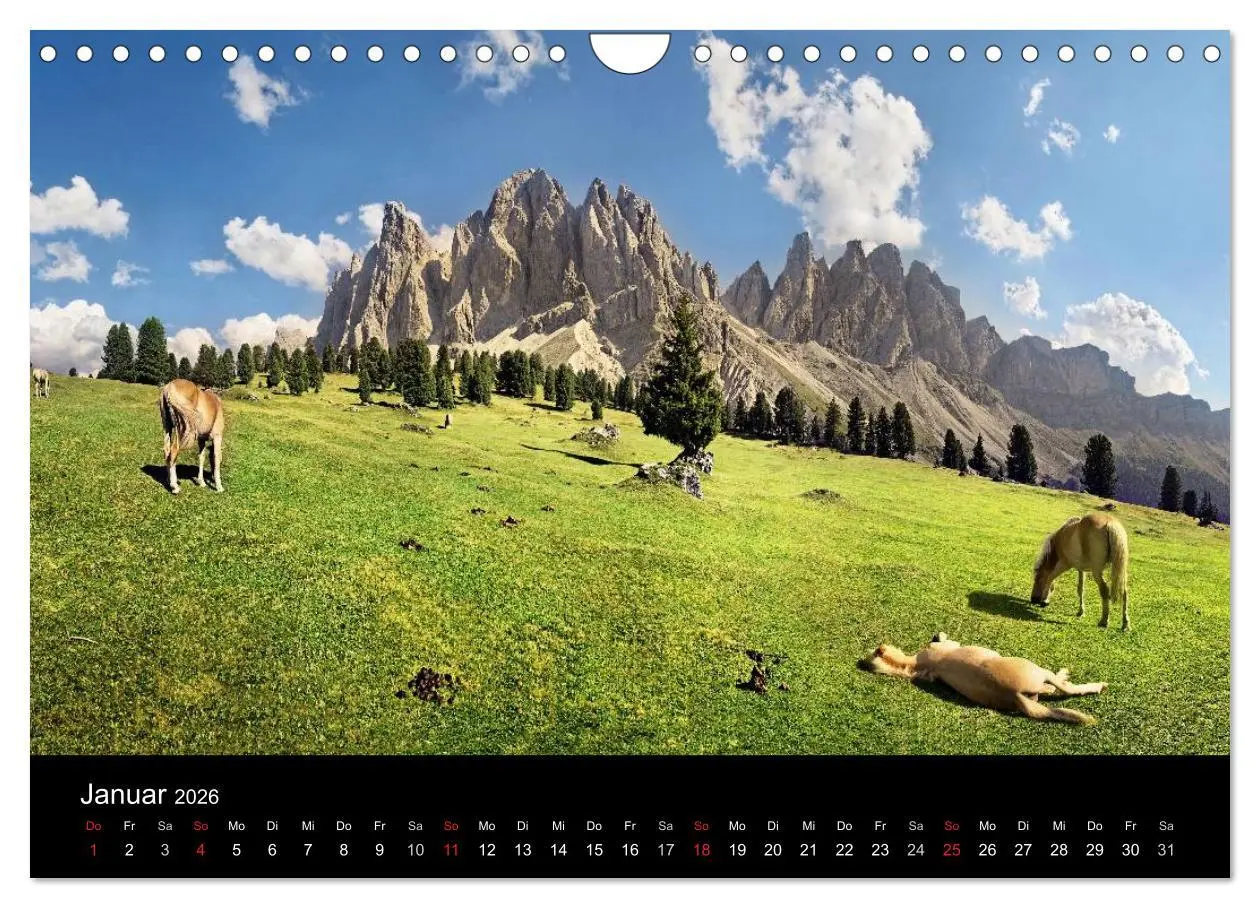 Bild: 9783516023169 | Wunderschöne Haflingerwelt (Wandkalender 2026 DIN A4 quer),...