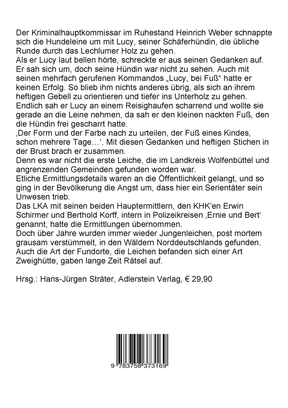 Rückseite: 9783758373169 | Die Zweighütte | Yael A. Vorderwisch | Taschenbuch | Paperback | 2024