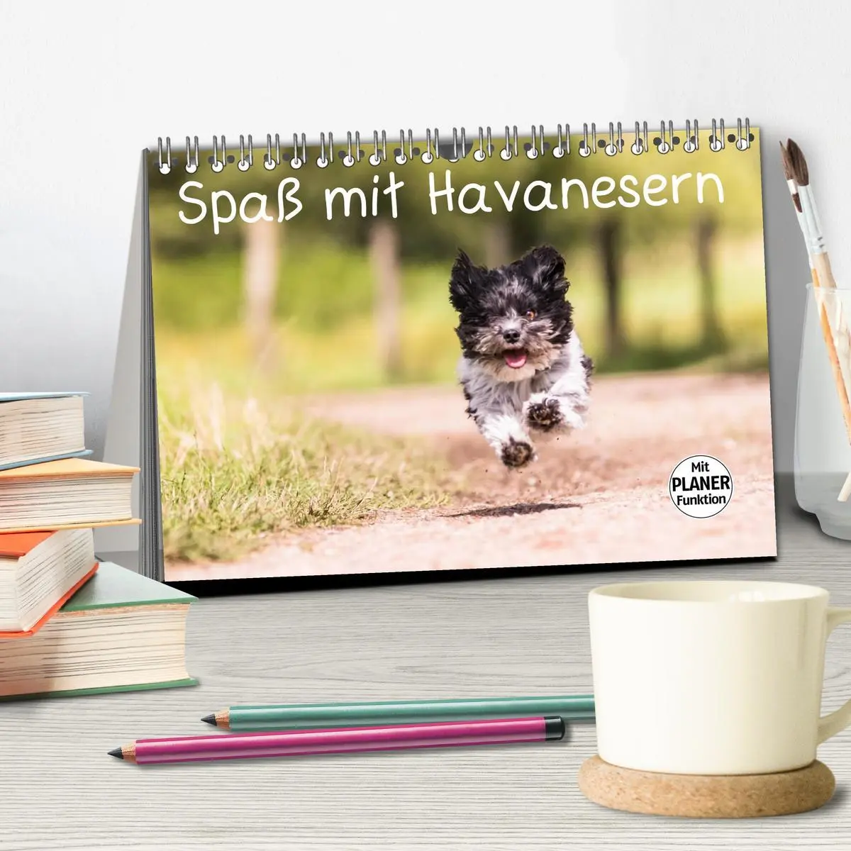 Bild: 9783516013269 | Spaß mit Havanesern (Tischkalender 2026 DIN A5 quer), CALVENDO...