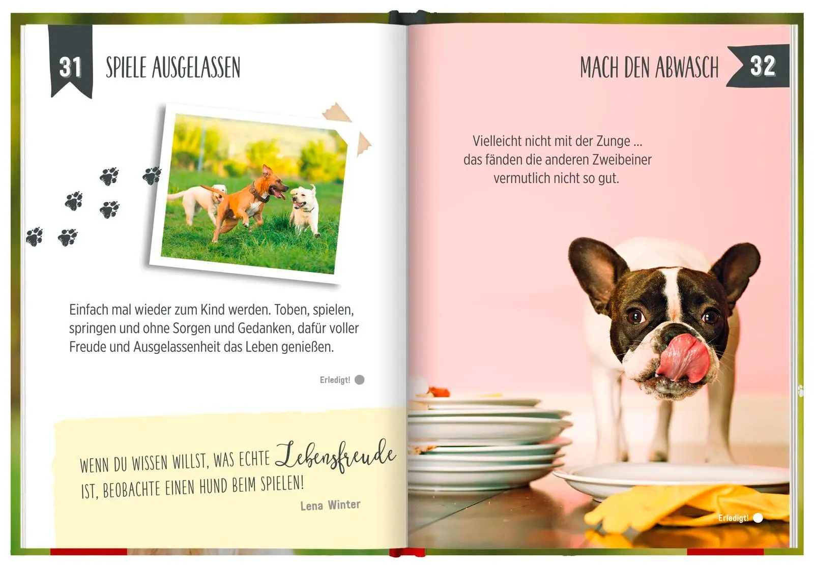 Bild: 9783848523269 | 100 Dinge, die man von einem Hund lernen kann | Groh Redaktionsteam