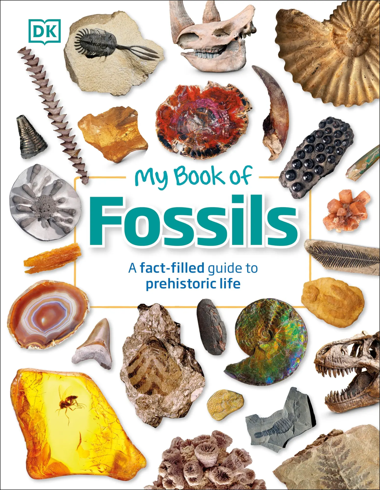 Cover: 9780241533369 | My Book of Fossils | A fact-filled guide to prehistoric life | Buch