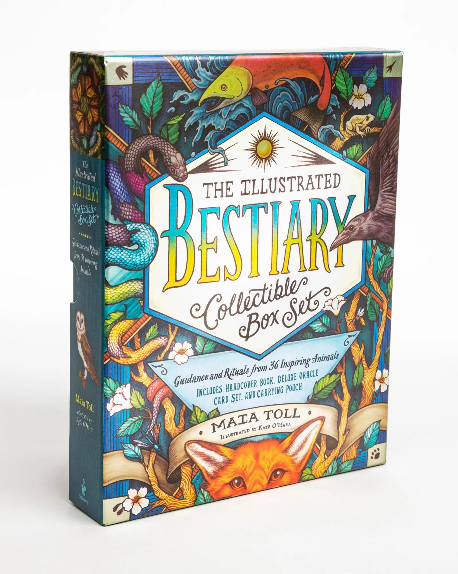 Bild: 9781635863369 | The Illustrated Bestiary Collectible Box Set | Maia Toll | Buch | 2021