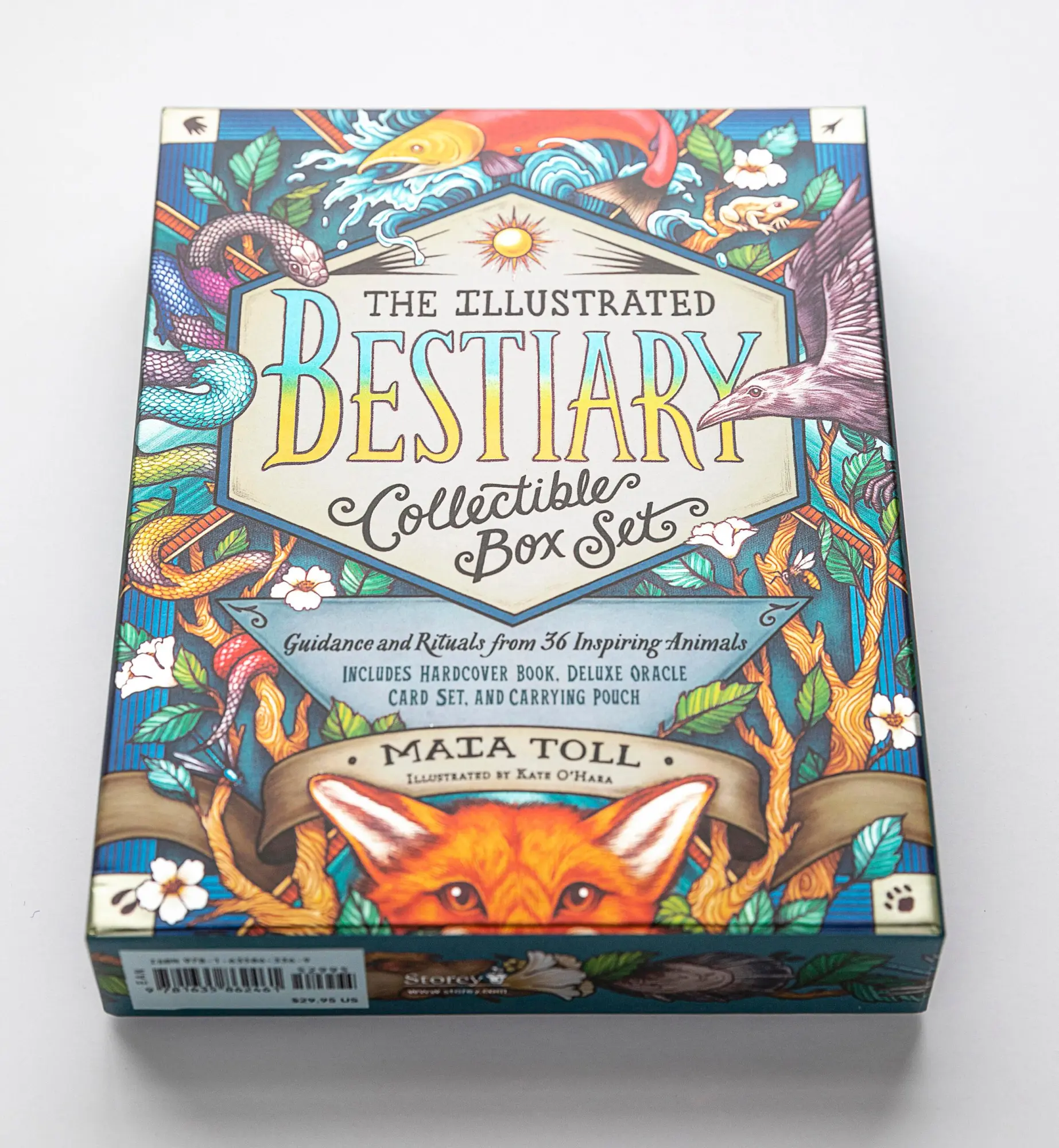 Bild: 9781635863369 | The Illustrated Bestiary Collectible Box Set | Maia Toll | Buch | 2021