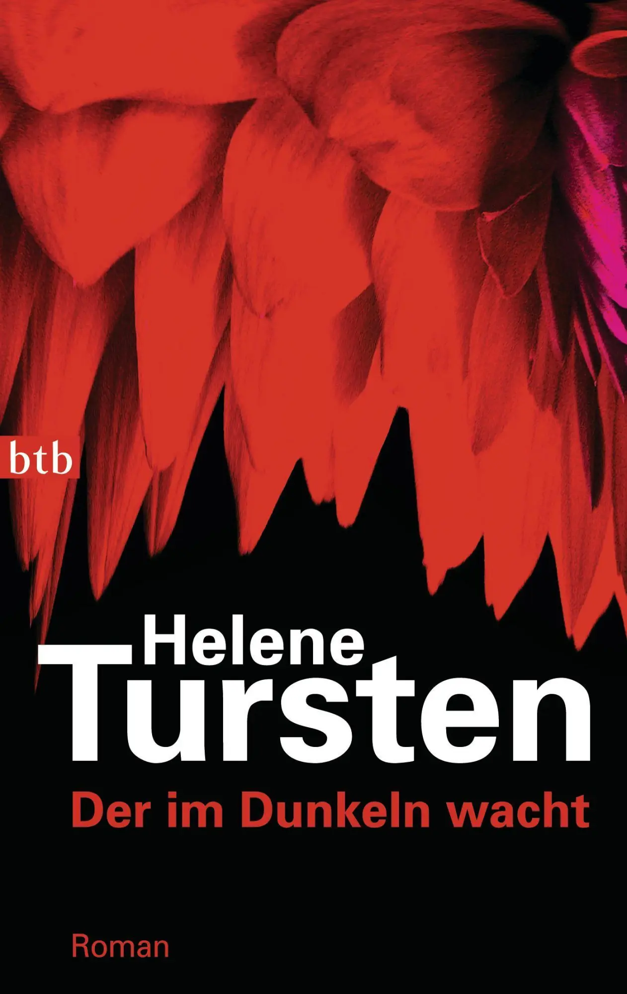 Cover: 9783442743469 | Der im Dunkeln wacht | Helene Tursten | Taschenbuch | btb | 320 S.