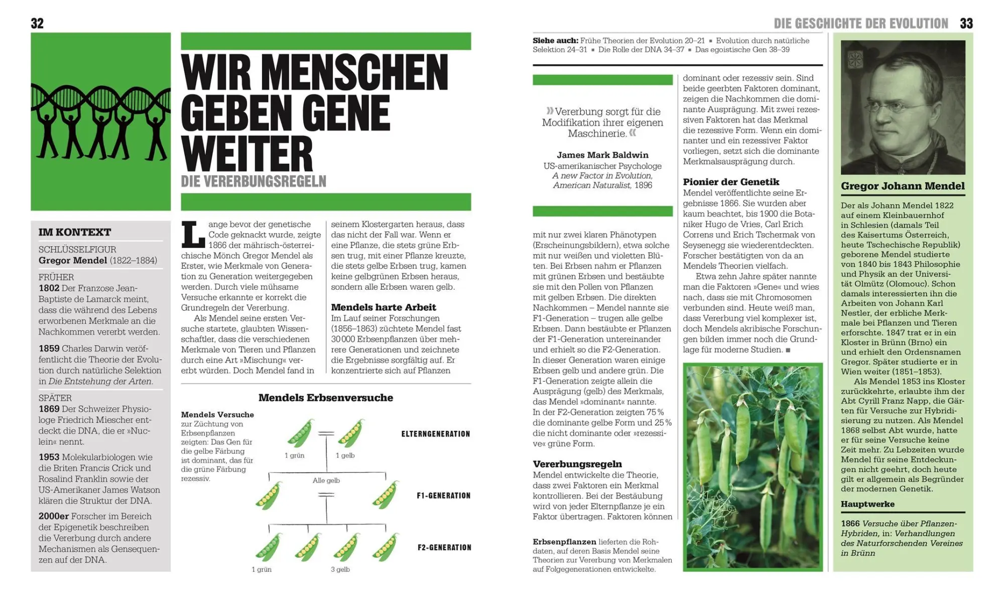 Bild: 9783831053469 | Big Ideas. Das Ökologie-Buch | Celia Coyne (u. a.) | Buch | 360 S.