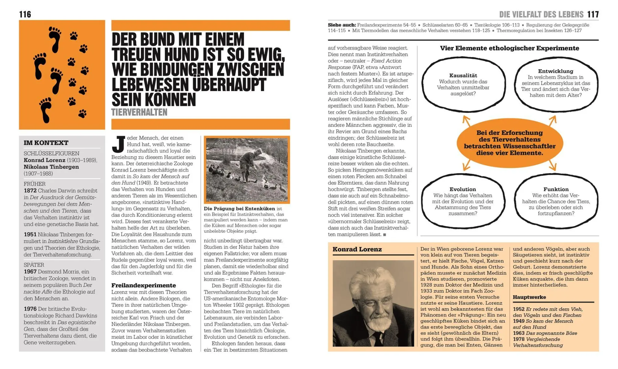 Bild: 9783831053469 | Big Ideas. Das Ökologie-Buch | Celia Coyne (u. a.) | Buch | 360 S.