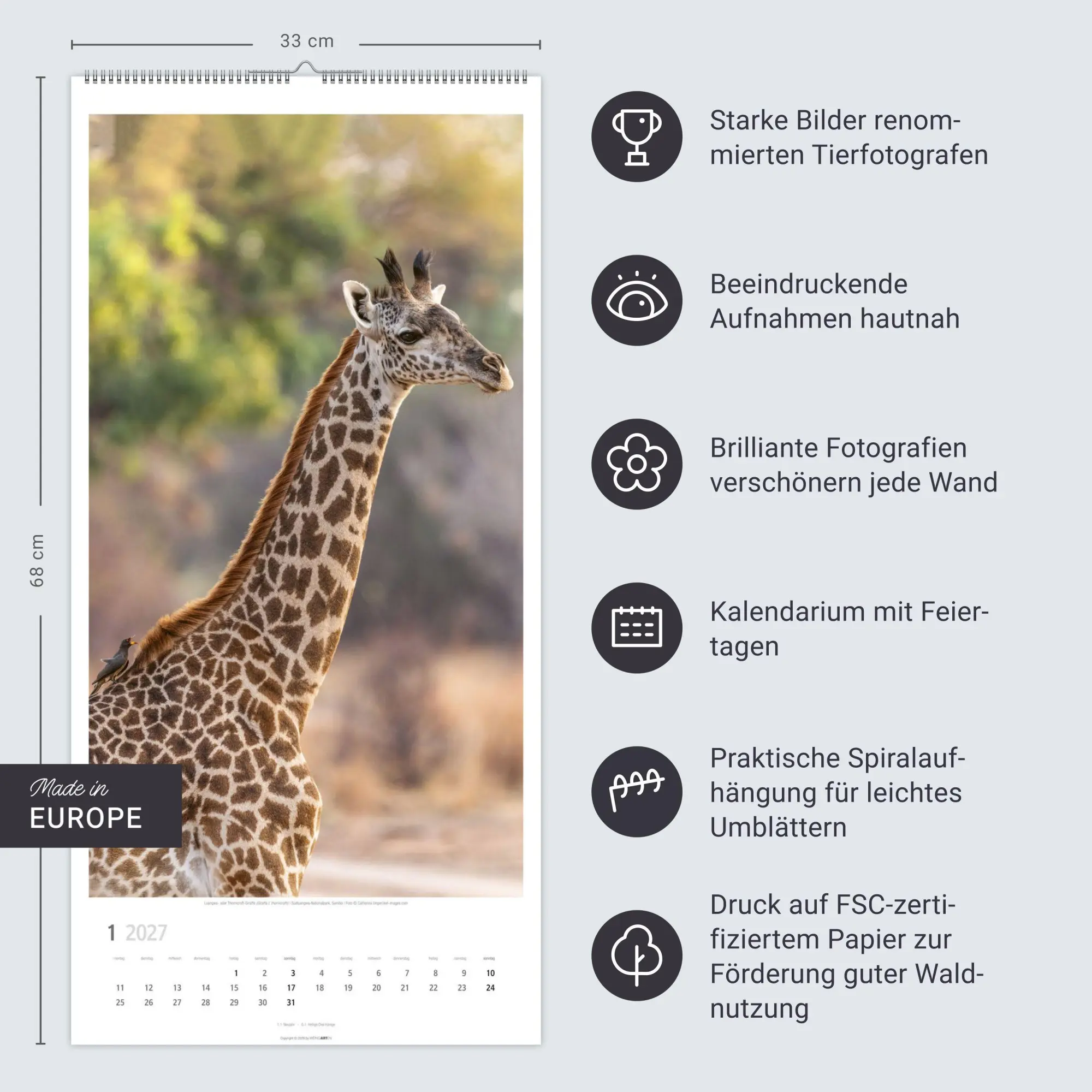 Bild: 9783839903469 | Giraffen Kalender 2027 | Kalender | Tierkalender Weingarten | 14 S.